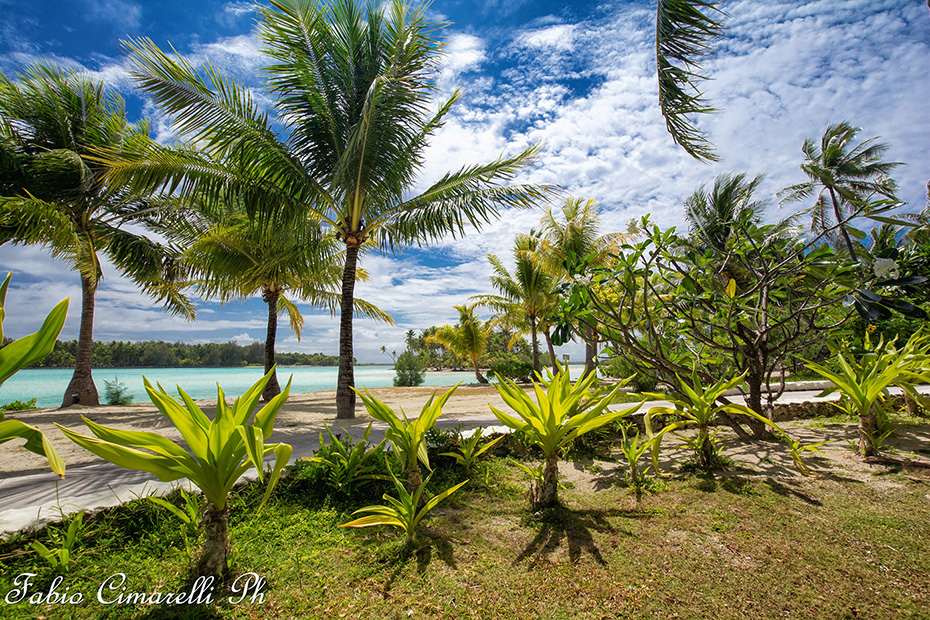 Bora Bora